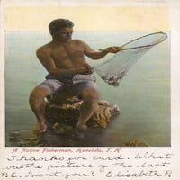 Роден рибар - Хонолулу, Хавай, САЩ печат на плакат от Мери Еванс Гренвил Колинс Колекция пощенски картички